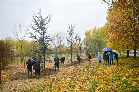 Zasađena prva stabla u novom gradskom parku 2 Banjalučanke