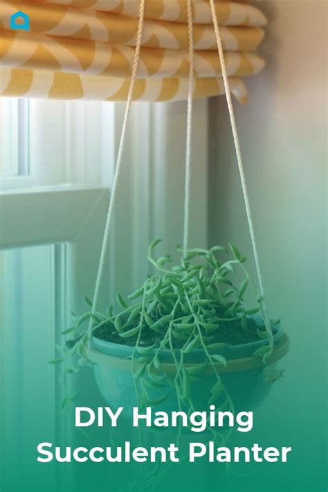 Hanging Succulent Planter In Front Of Window With The Words Diy Hanging Succulent Planter