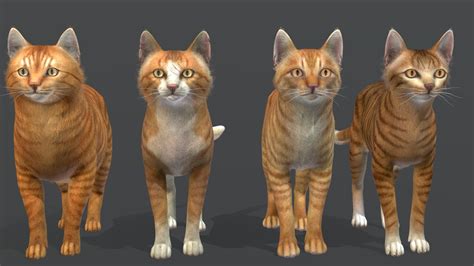 Cats Pack 1 Buy Royalty Free 3d Model By Reddeer Billl90 7930d61