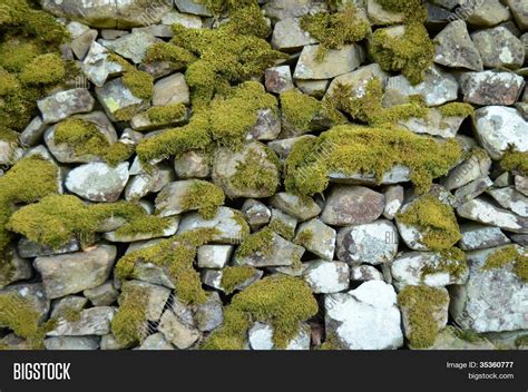 Background Texture Mossy Stone Wall Image & Photo | Bigstock