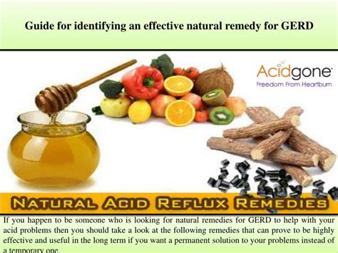 PPT - Guide for identifying an effective natural remedy for GERD ...