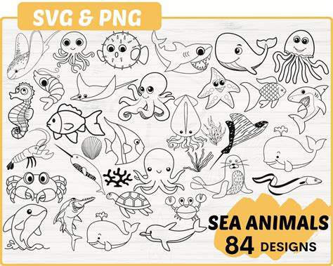 Sea Animal Svg Bundle File 84 Hand Drawn Ocean Animal Svg Etsy