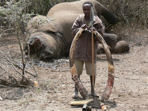 Air Shepherd: Drones To Fight Against Elephant Poaching