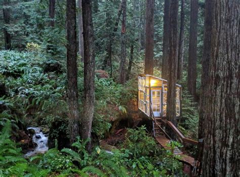 2 Rustic Cabins & Treehouse on Creek in the Redwoods