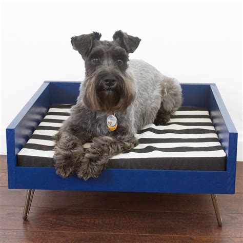 Midcentury Modern Dog Bed - Stacy Risenmay