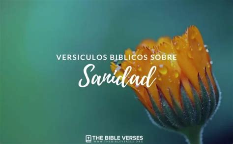 Vers Culos De La Biblia Sobre Sanidad Textos B Blicos