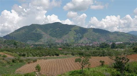 Peruvian jungle landscape. stock video. Video of tourist - 301007889