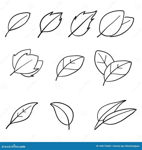 Eco Set Of Black Line Leaf Icons On White Background With Doodle