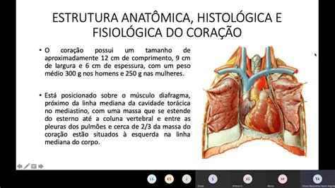 Ciências Morfofuncionais Dos Sistemas Nervoso E Cardiorrespiratório 04