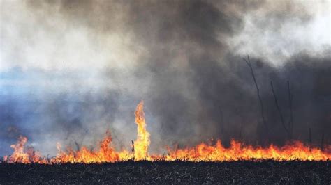 Santa Fe Amplió La Denuncia Por Las Quemas En El Delta Del Paraná