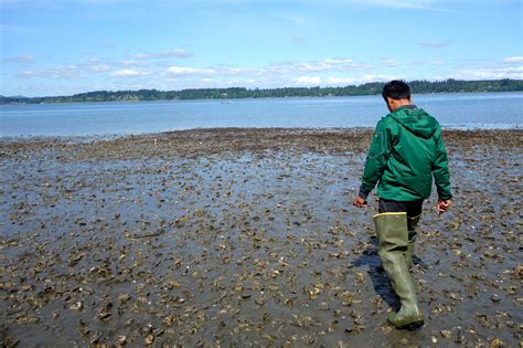 Washington Sea Grant Receives Federal Funding To Train The Next