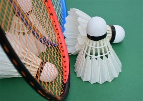 Badminton Shuttlecock Types Best Sale | cityofclovis.org