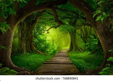 Asian Tropical Rainforest Stock Photo Shutterstock