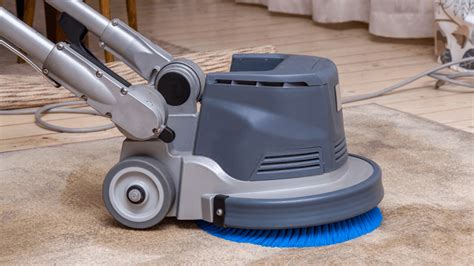 Why You Should Hire A Professional Carpet Cleaner