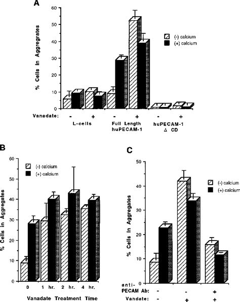 Figure 4 From Tyrosine Residue In Exon 14 Of The Cytoplasmic Domain Of