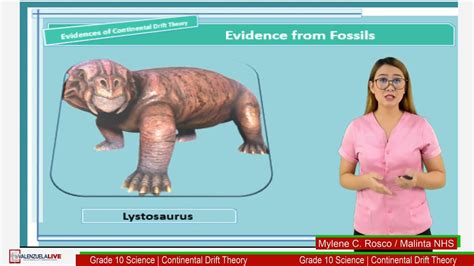 Grade 10 Science Continental Drift Theory Youtube