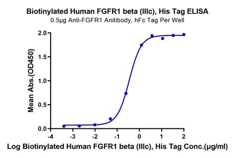 Biotinylated Human Fgfr1 Beta Iiic Protein Accession P11362 Watson