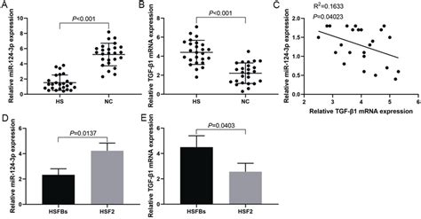 MiR 124 3p Expression Was Downregulated And Is Negatively Correlated