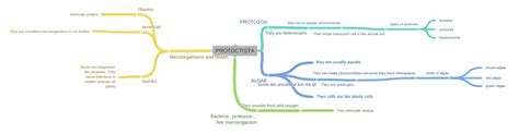 PROTOCTISTA (ALGAE (Some are unicellular but not all (They are…