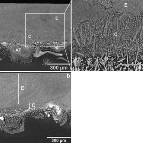 Microstructure Of The Equiaxed Zone Zone E In Fig 3 Of Alcr Alloys