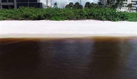 Uf Scientists Work To Develop Method To Measure Red Tide Air Toxins Wink News