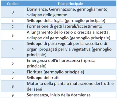 Le Fasi Fenologiche Delle Piante E I Cambiamenti Climatici Elaisian