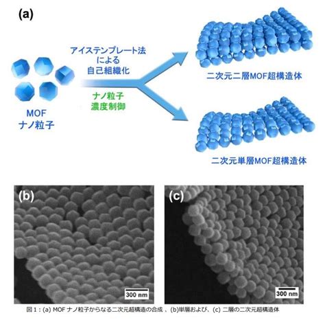 多孔質ナノ粒子の配列・配向制御 早稲田大学