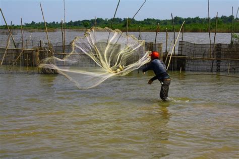 Pemburu Sepit Biru Teknik Menangkap Ikan Tanpa Joran