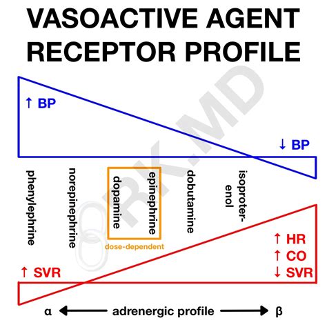 Combining Vasoactiveinotropic Agents Rkmd