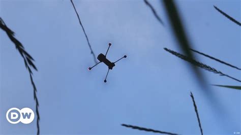 Des Drones Pour Sauver Les Faons En Suisse Dw