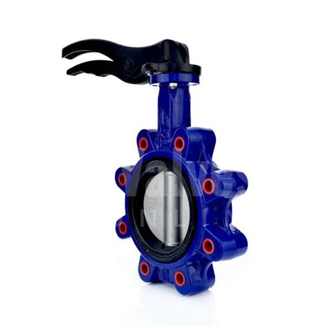 Ductile Iron Lugged Butterfly Valve Nbr Liner Valves Online