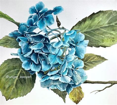 Unger Easyart On Instagram Hydrangea Watercolor