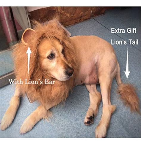 Yu Xiang Dog Wig Lion Mane Hairwith Ear And Tail Funny Halloween Hat