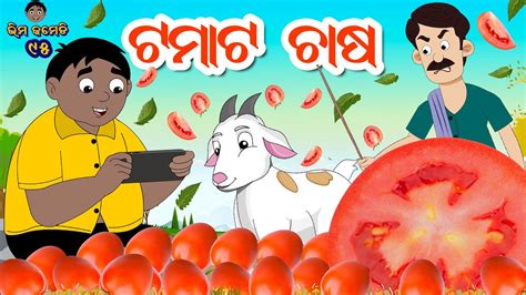 ଭମର ଟମଟ ଚଷ TOMATO CHASA ଟମଟ ଚଷ Bhima Comedy ଭମ କମଡ