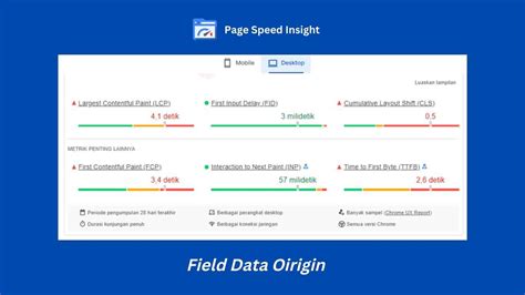 Cara Optimasi Website Menggunakan Google PageSpeed Insight