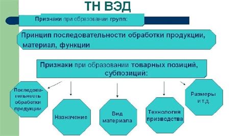 Структура ТН ВЭД ЕАЭС: что это такое, как строится и как расшифровывается