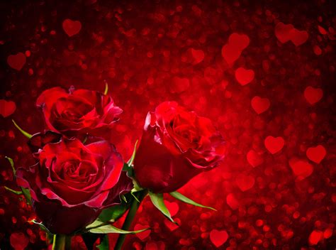 🔥 [70+] Red Rose Heart Wallpapers | WallpaperSafari