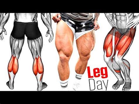 Leg Day How To Build Strong And Massive Legs Youtube Leg Workouts