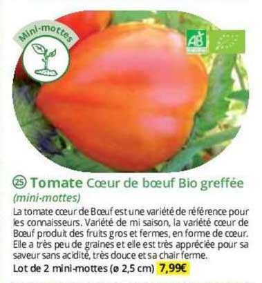 Promo Tomate Cœur De Bœuf Bio Greffée mini mottes chez Magellan