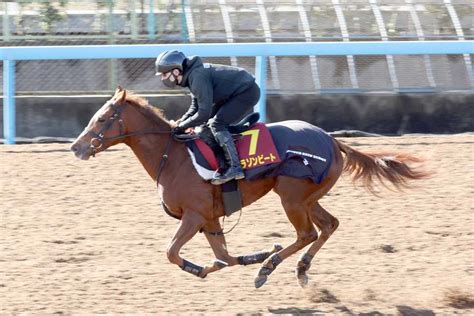 【阪神jf 俺のチェックポイント】コラソンビートは賢さと勝負根性を兼備！陣営も納得の好調教 サンスポzbat