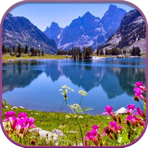 Download Free 100 + nature live hd Wallpapers