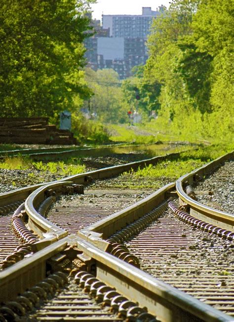 Train Tracks With Trees And Buildings In The Background