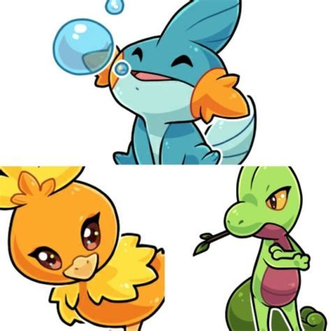 Mudkip Memes