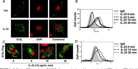 Figure 1 From Focal Adhesion KinaseMediated Activation Of Glycogen