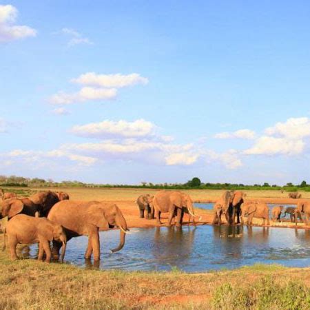 Days Aberdare Samburu Lake Nakuru Masai Mara Kenia Mara Tours