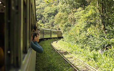 Conhe A O Passeio De Trem Na Serra Do Mar Curitiba X Morretes