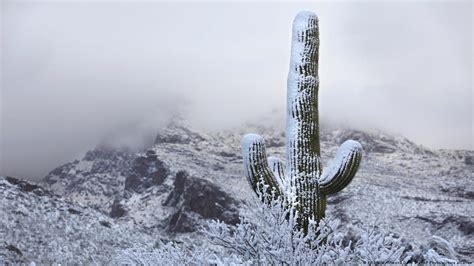 Clima Extremo En El Oeste De Estados Unidos ¿fin De La Crisis Del Agua