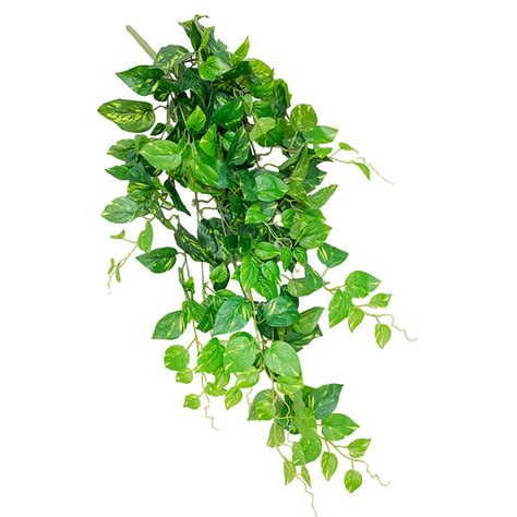 Hanging Fresh Pothos 90cm Plant Couture Artificial Plants