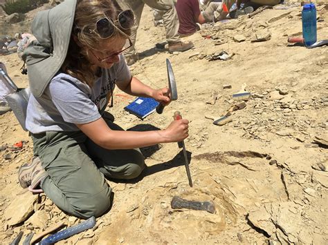 Where to volunteer for archaeological digs
