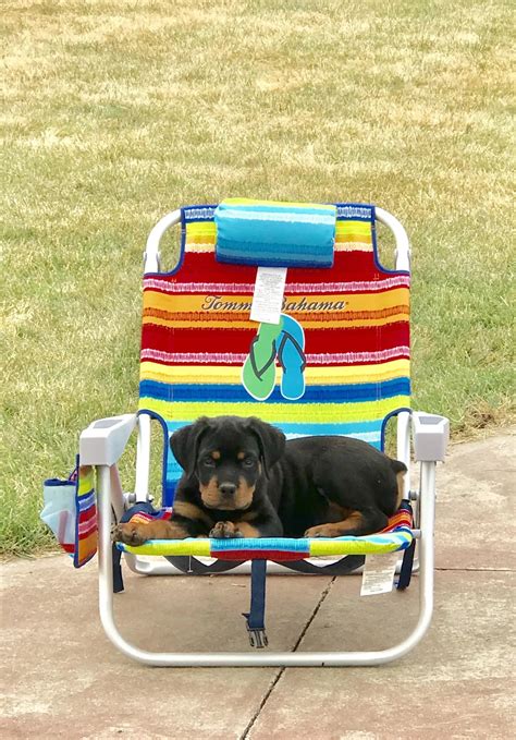 that's the neat part 7